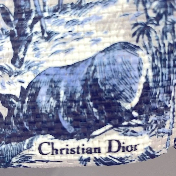 💙🤍 NWOT Christian Dior Limited Edition tote - Picture 5 of 8